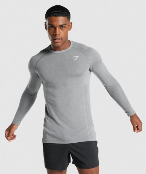 Koszulki Gymshark Vital Light Seamless Long Sleeve Męskie Szare | PL 218YIR